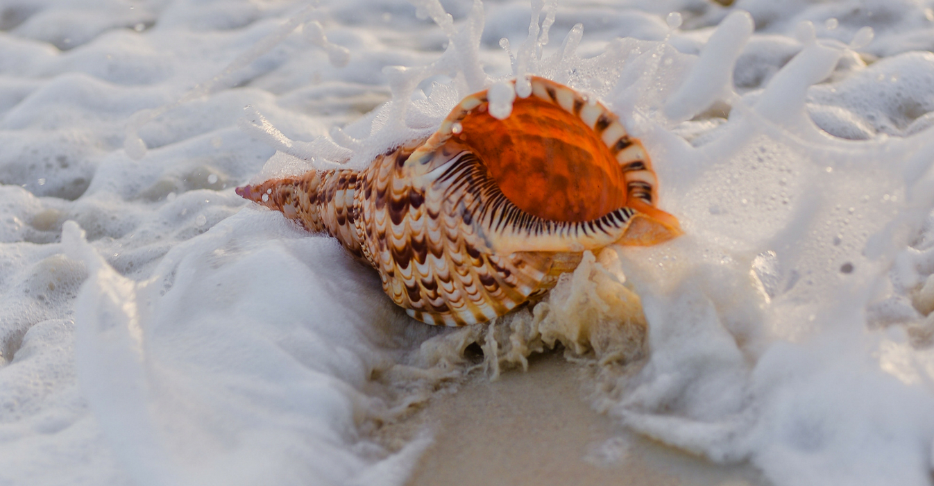 Al mare Eric de Kuyper