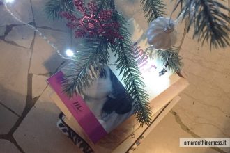 libri sotto l'albero