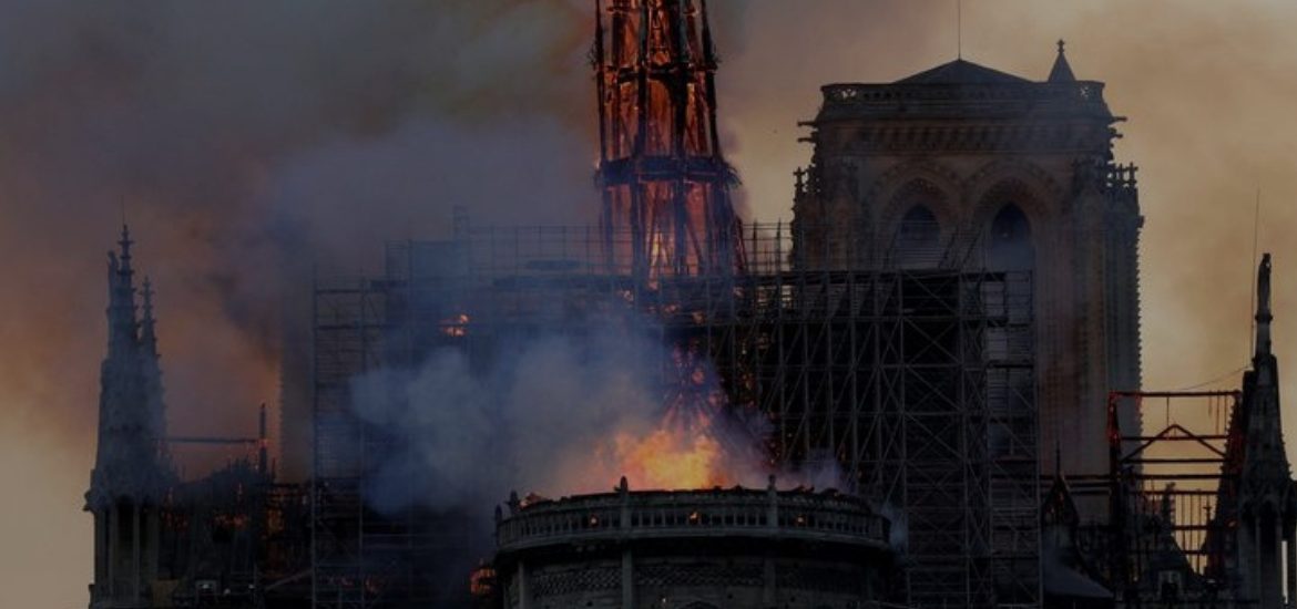 notre dame parigi francia mauro biani