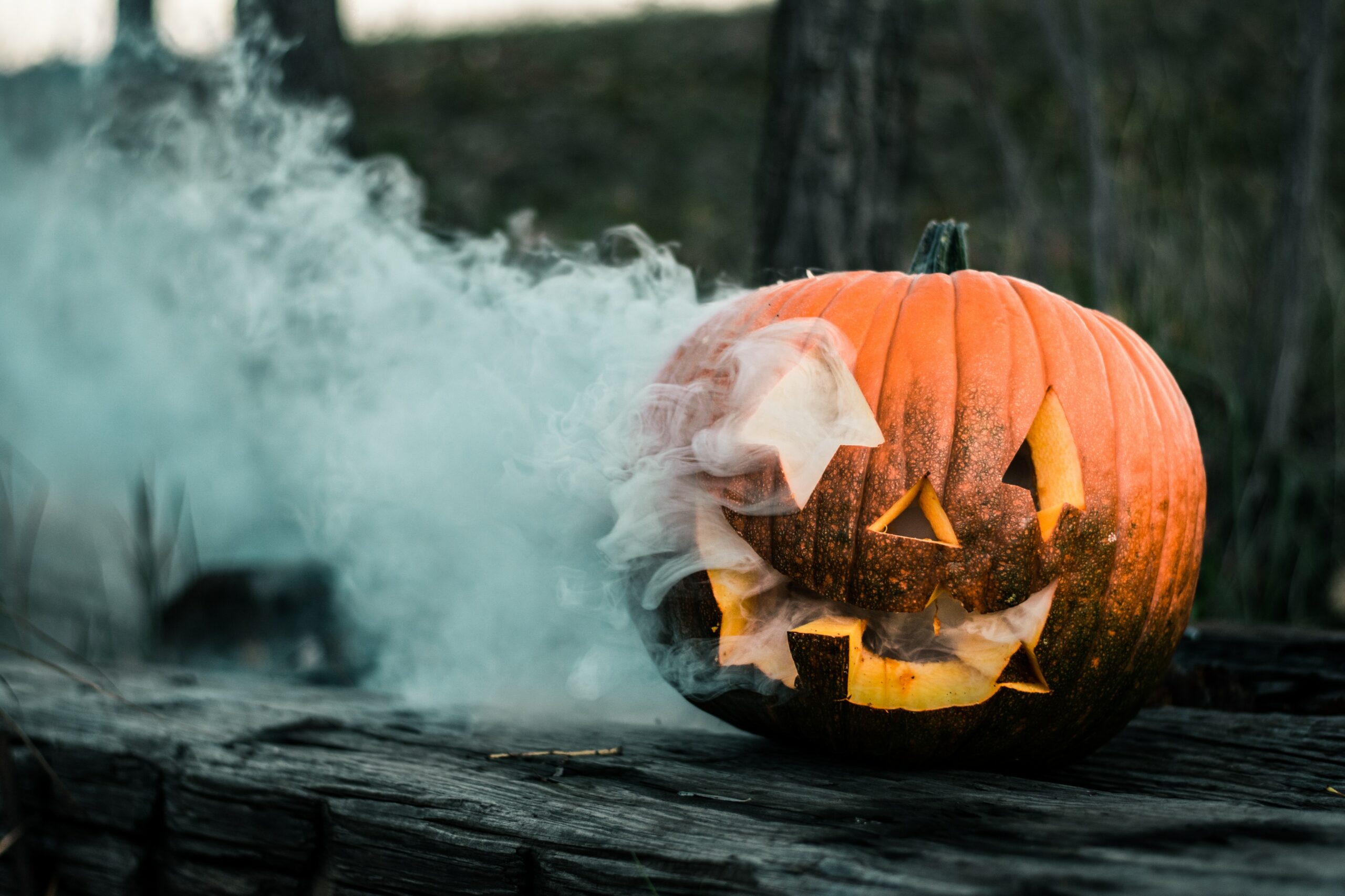 libri halloween