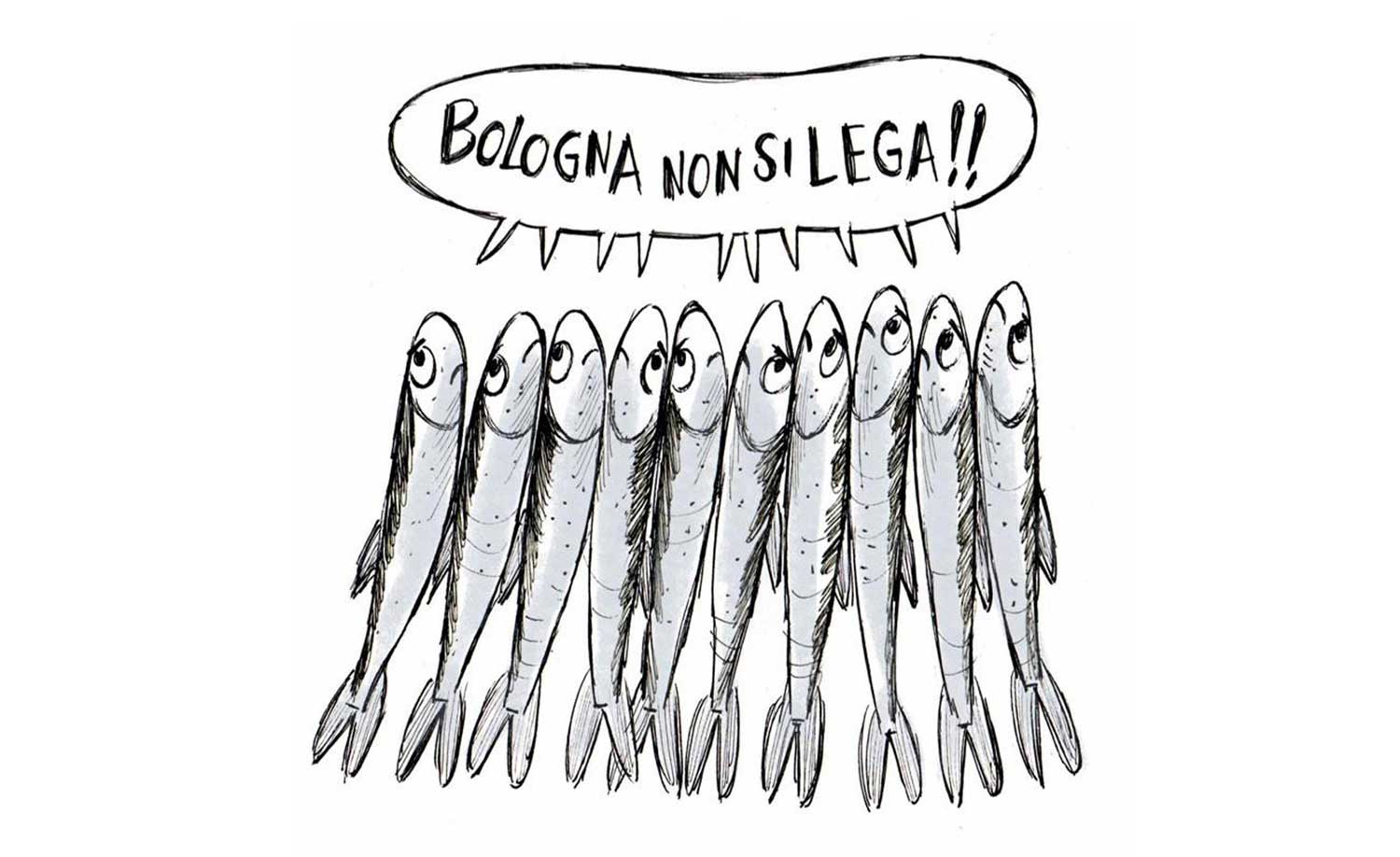 sardine bologna