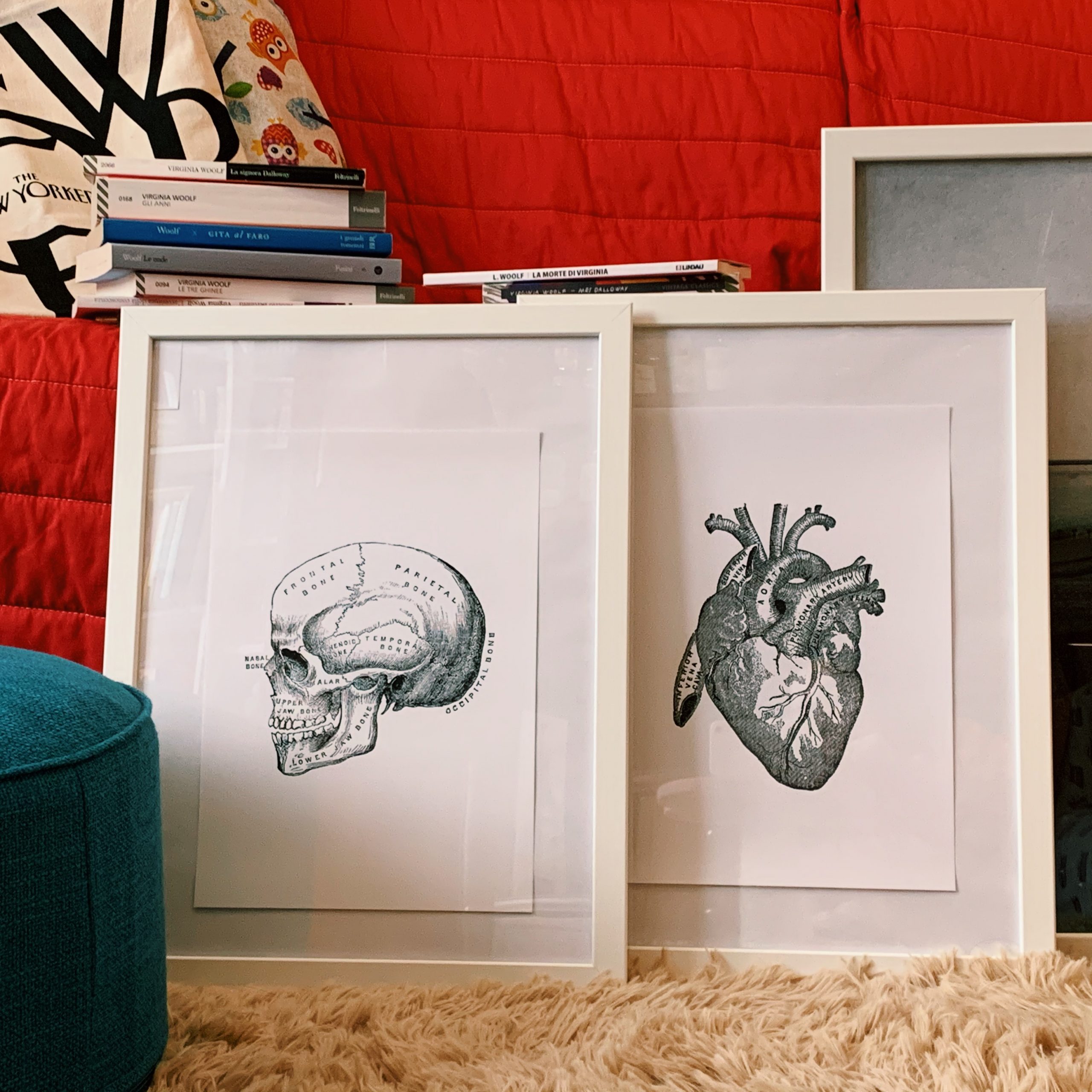 poster desenio skull vintage heart anatomy gallery wall